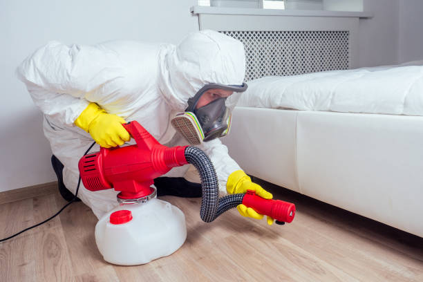 Best Pest Exclusion Services  in Belle Mead, NJ